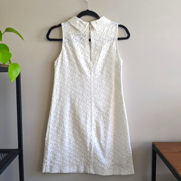 Zara lace dress, S - Picture 2 of 5